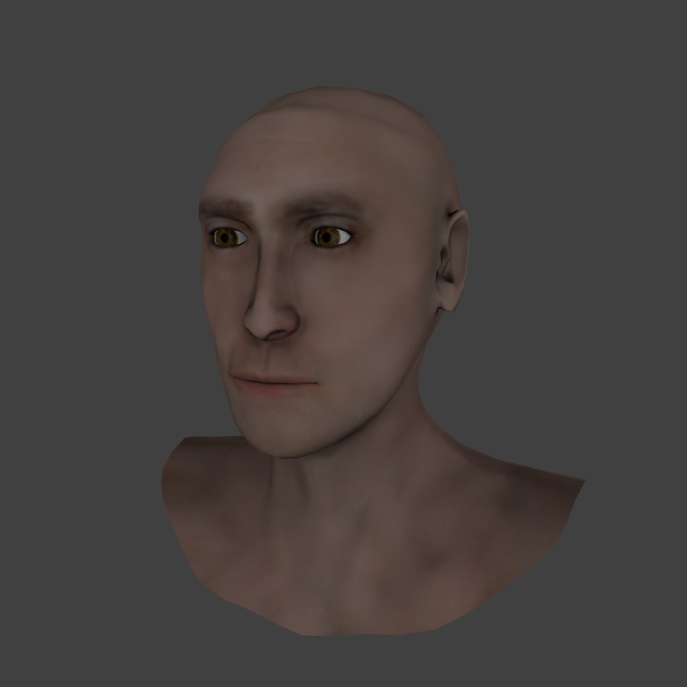 Realistic Lowpoly Head preview image 1